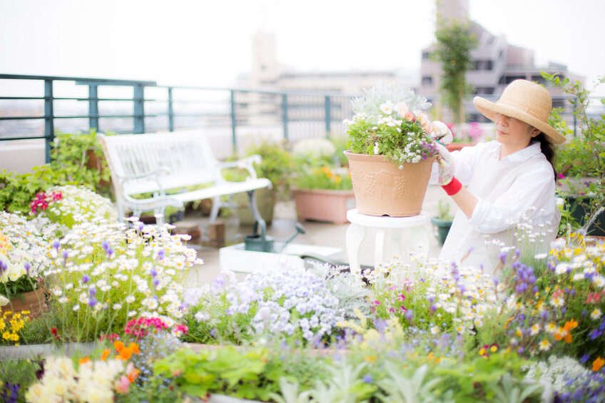 Pourquoi végétaliser votre terrasse, toit ou balcon ?